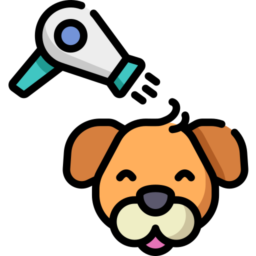 Perro secando pelo